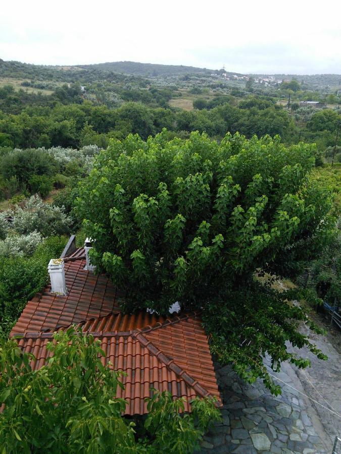 Eleni'S Village Relaxation Home Эдипсос Экстерьер фото