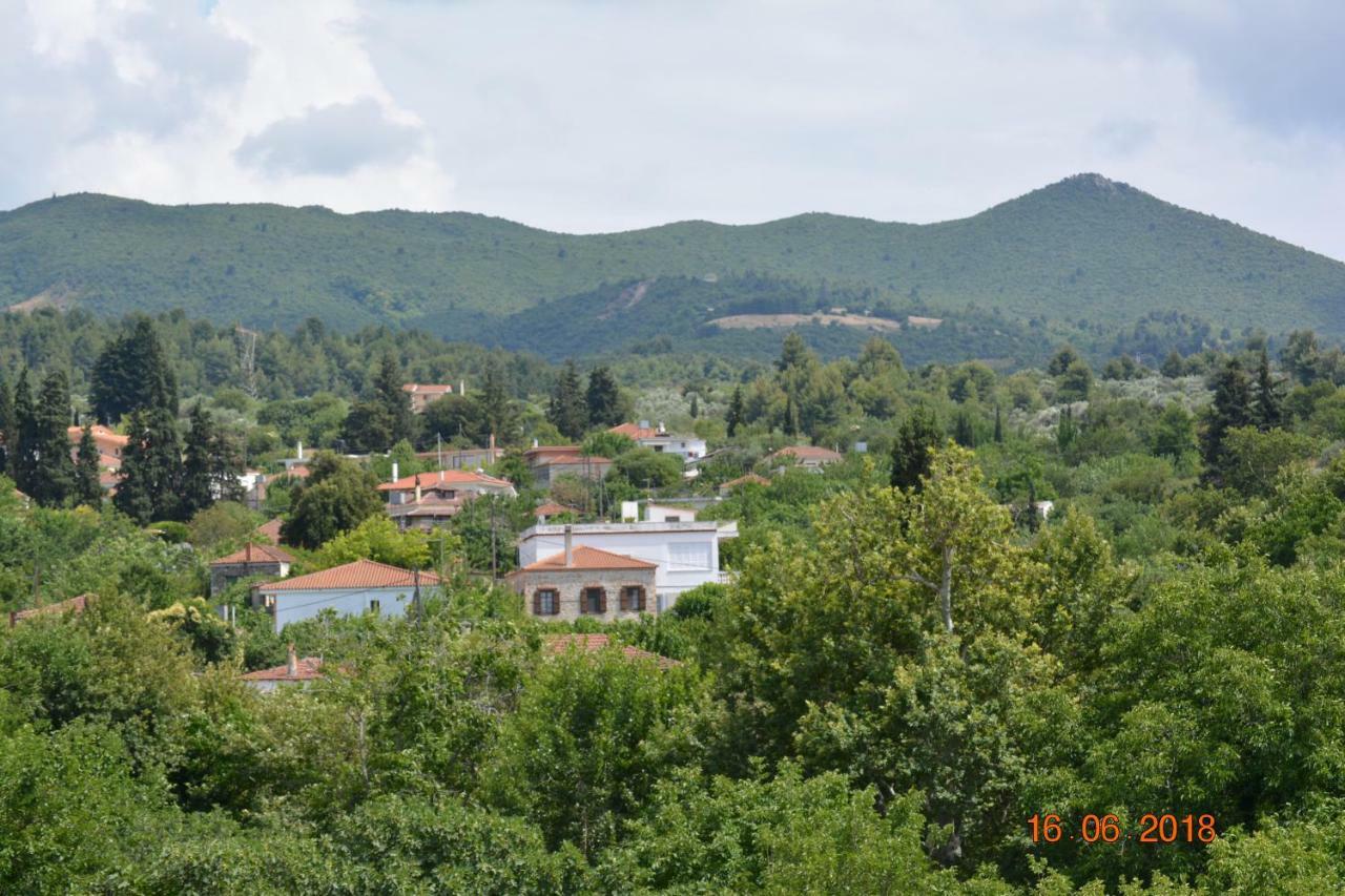 Eleni'S Village Relaxation Home Эдипсос Экстерьер фото